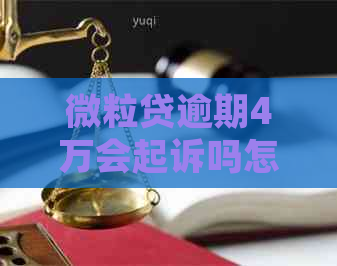 微粒贷逾期4万会起诉吗怎么办理