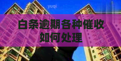 白条逾期各种如何处理