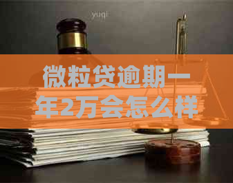 微粒贷逾期一年2万会怎么样