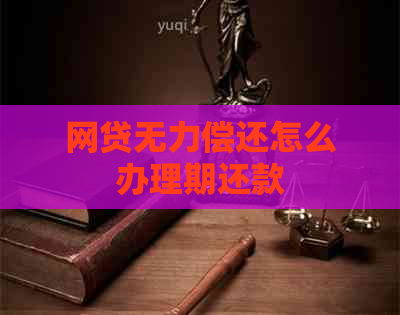 网贷无力偿还怎么办理期还款