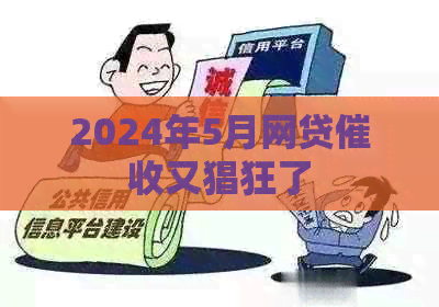 2024年5月网贷又猖狂了