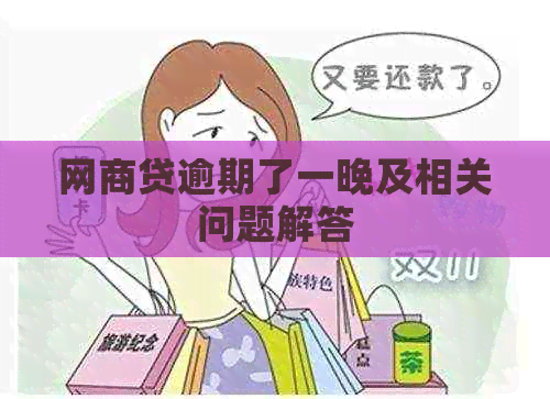 网商贷逾期了一晚及相关问题解答