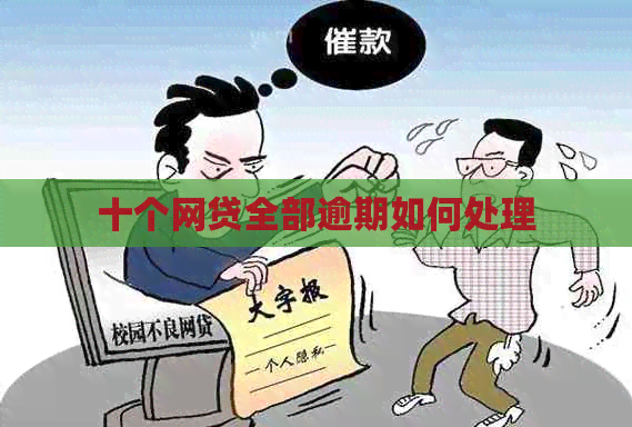 十个网贷全部逾期如何处理
