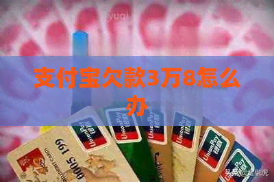 支付宝欠款3万8怎么办