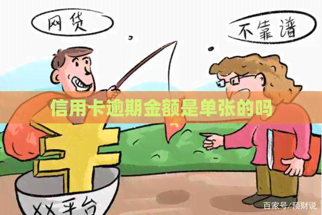 信用卡逾期金额是单张的吗
