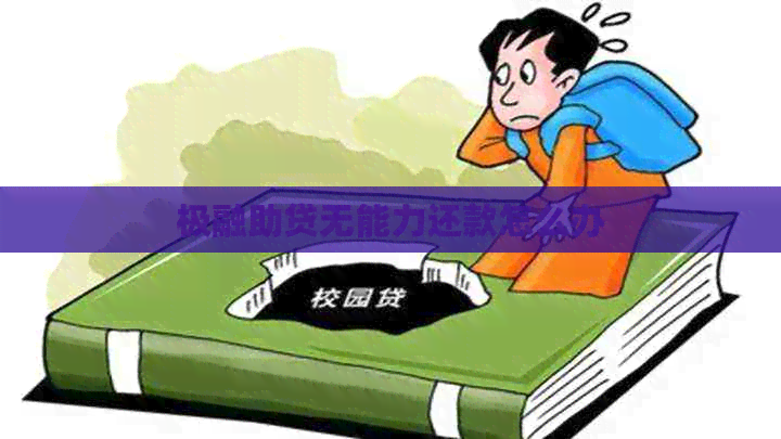 极融助贷无能力还款怎么办
