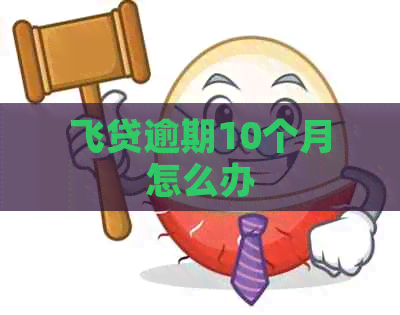 飞贷逾期10个月怎么办