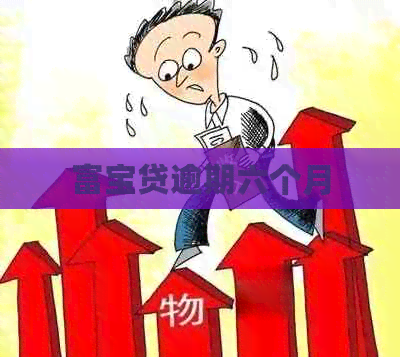 富宝贷逾期六个月