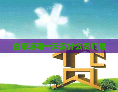 白条逾期一天没什么影响吧