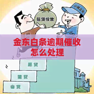 金东白条逾期怎么处理