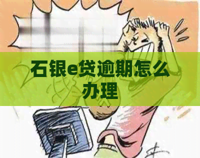 石银e贷逾期怎么办理