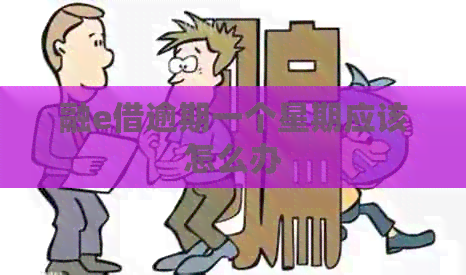 融e借逾期一个星期应该怎么办