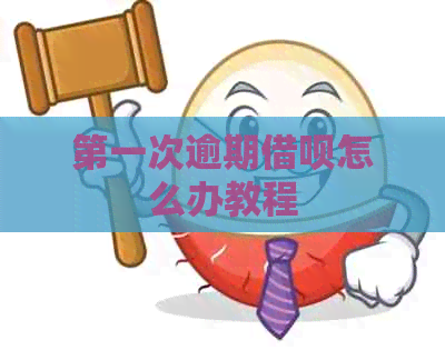 之一次逾期网贷怎么办教程