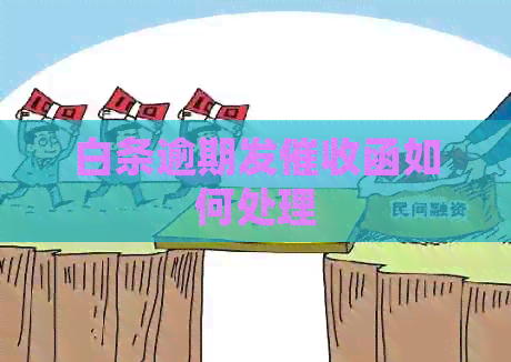 白条逾期发函如何处理