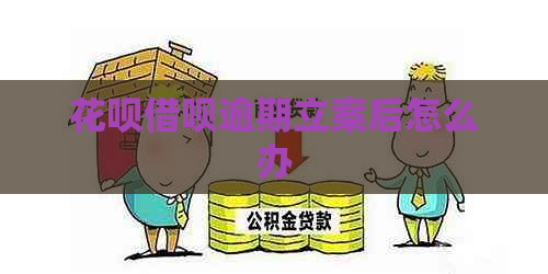 信用卡网贷逾期立案后怎么办