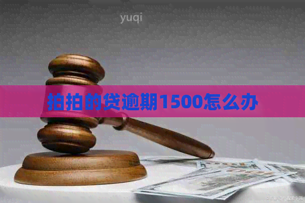 拍拍的贷逾期1500怎么办