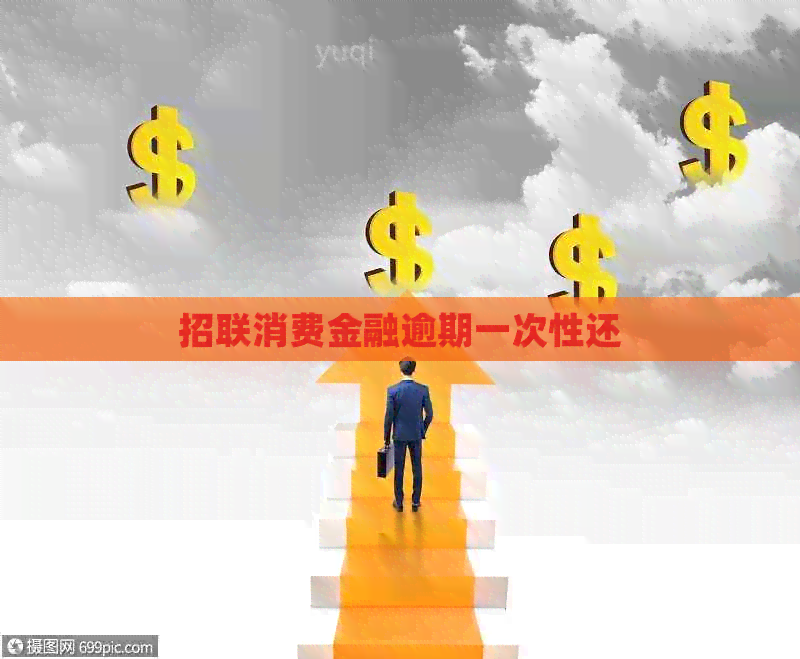 招联消费金融逾期一次性还