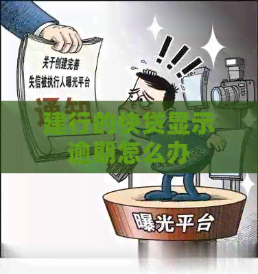 建行的快贷显示逾期怎么办