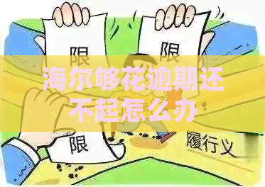 海尔够花逾期还不起怎么办
