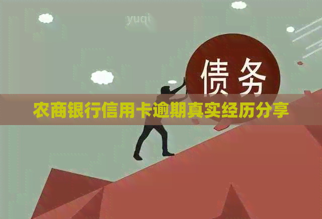 农商银行信用卡逾期真实经历分享