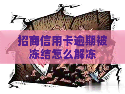 招商信用卡逾期被冻结怎么解冻