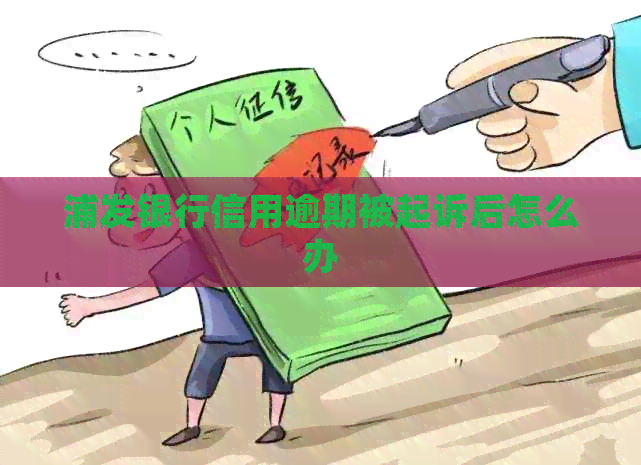 浦发银行信用逾期被起诉后怎么办