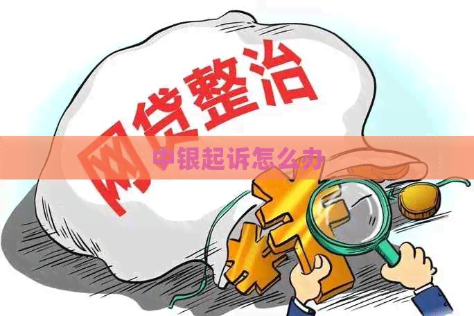 中银起诉怎么办