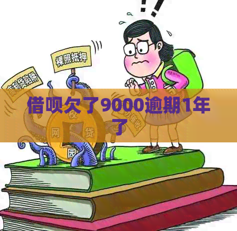 网贷欠了9000逾期1年了