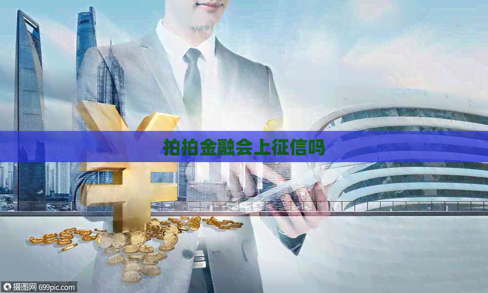 拍拍金融会上吗