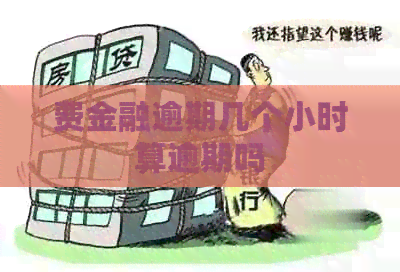费金融逾期几个小时算逾期吗
