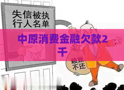 中原消费金融欠款2千