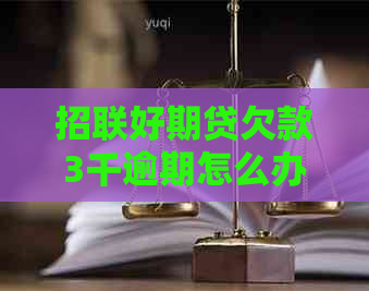招联好期贷欠款3千逾期怎么办