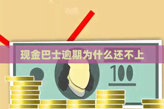 现金巴士逾期为什么还不上