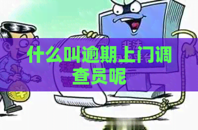 什么叫逾期上门调查员呢