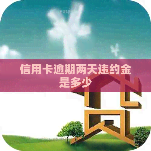 信用卡逾期两天违约金是多少