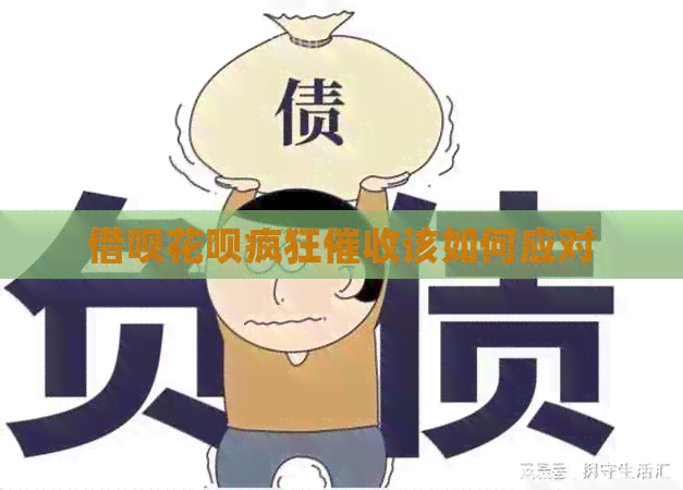 网贷信用卡疯狂该如何应对