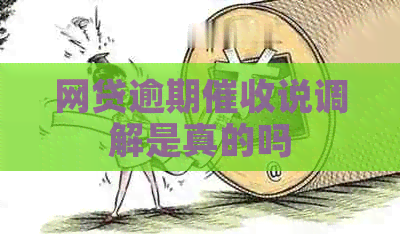 网贷逾期说调解是真的吗