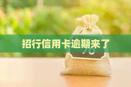 招行信用卡逾期来了