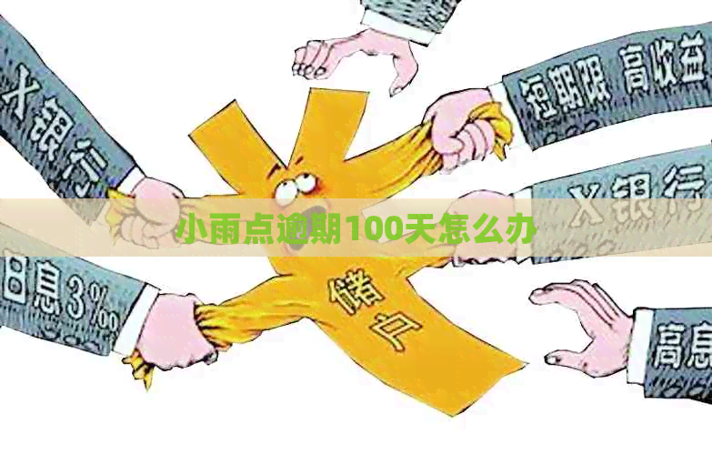 小雨点逾期100天怎么办