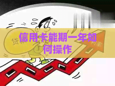 信用卡能期一年如何操作