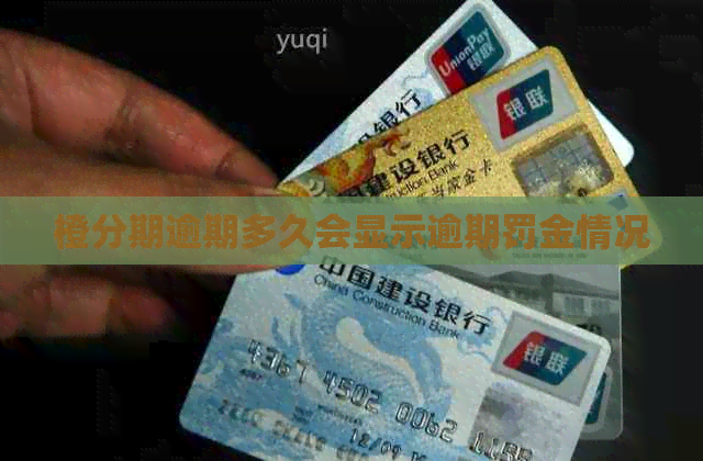 橙分期逾期多久会显示逾期罚金情况