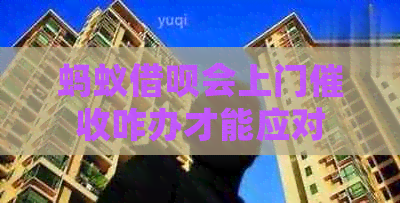 蚂蚁借呗会上门咋办才能应对