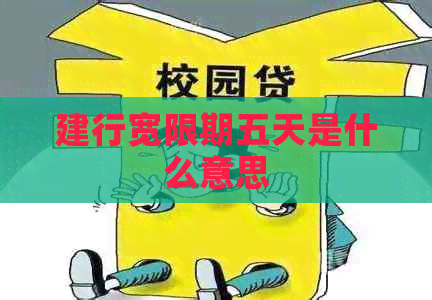 建行宽限期五天是什么意思