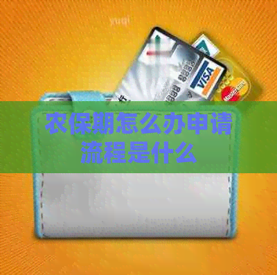 农保期怎么办申请流程是什么