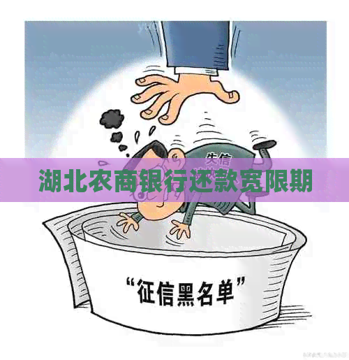 湖北农商银行还款宽限期