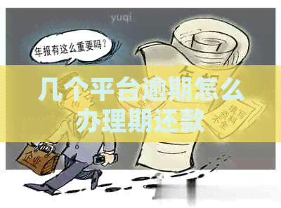 几个平台逾期怎么办理期还款