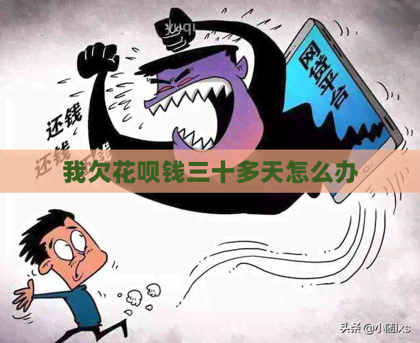 我欠花呗钱三十多天怎么办