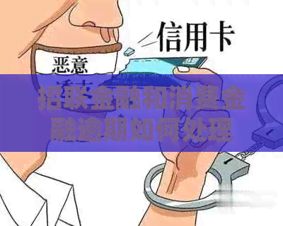 招联金融和消费金融逾期如何处理
