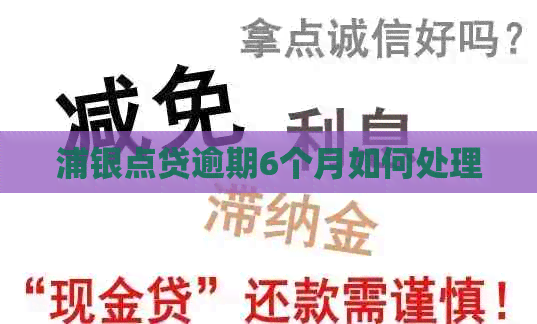 浦银点贷逾期6个月如何处理