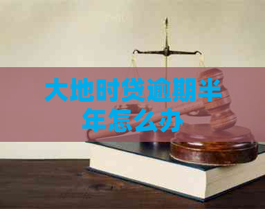 大地时贷逾期半年怎么办
